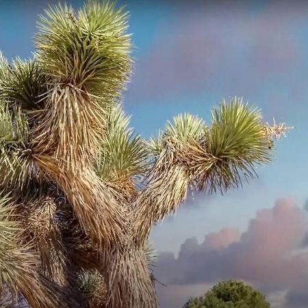 Three Tree Villa W/ Ev Charging Yucca Valley Bagian luar foto